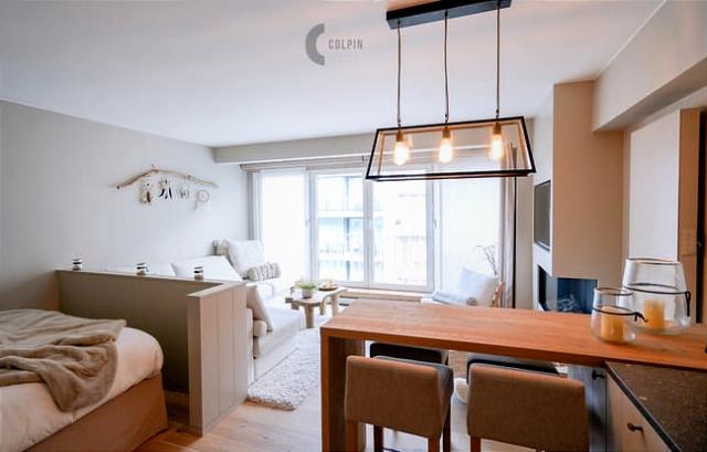 Fully Renovated 37 m² Studio near Lippenslaan