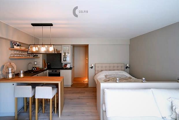 Fully Renovated 37 m² Studio near Lippenslaan